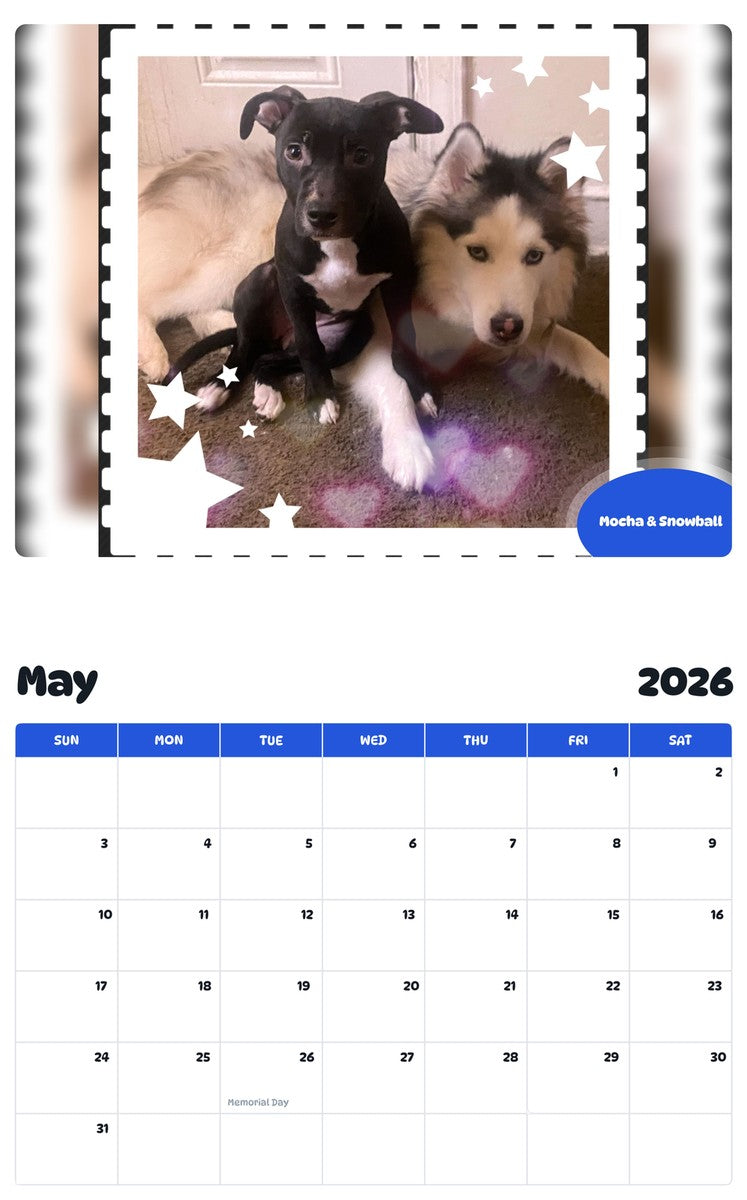 2026 - 2027 Mocha & Snowball - Pawidols Pet Calendar