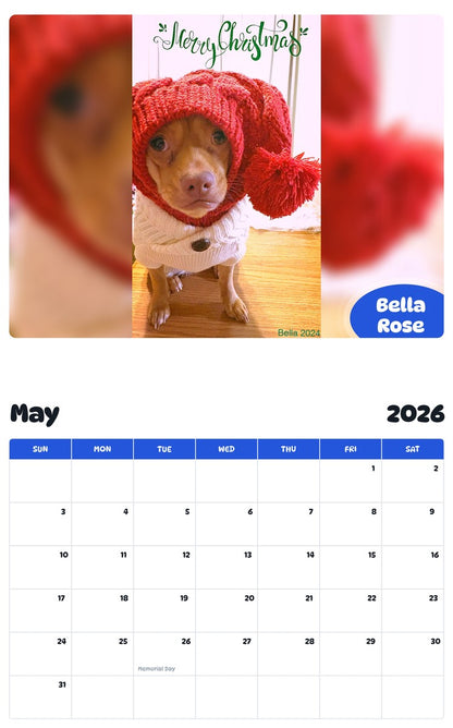2026 - 2027 Bella Rose - Pawidols Pet Calendar