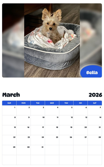 November 2025 - October 2026 Bella - Pawidols Pet Calendar