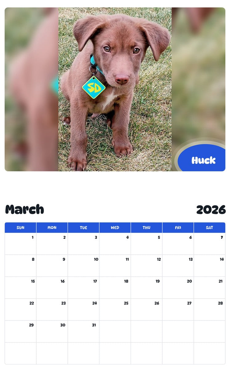 November 2025 - October 2026 Huck - Pawidols Pet Calendar