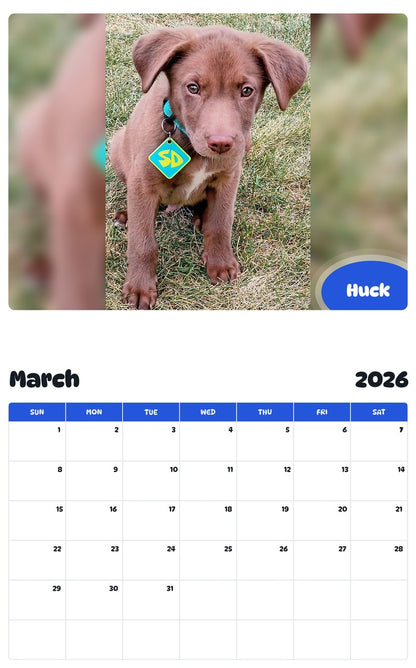 November 2025 - October 2026 Huck - Pawidols Pet Calendar