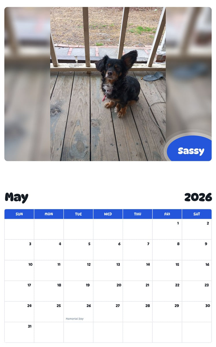 2026 - 2027 Sassy - Pawidols Pet Calendar