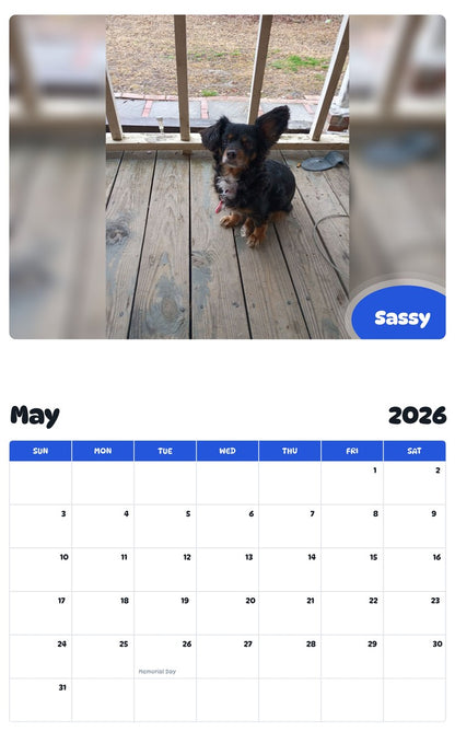 2026 - 2027 Sassy - Pawidols Pet Calendar