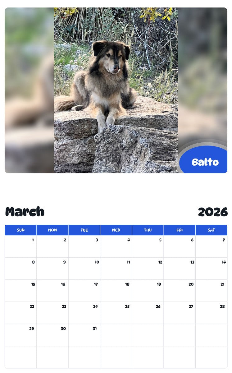 November 2025 - October 2026 Balto - Pawidols Pet Calendar