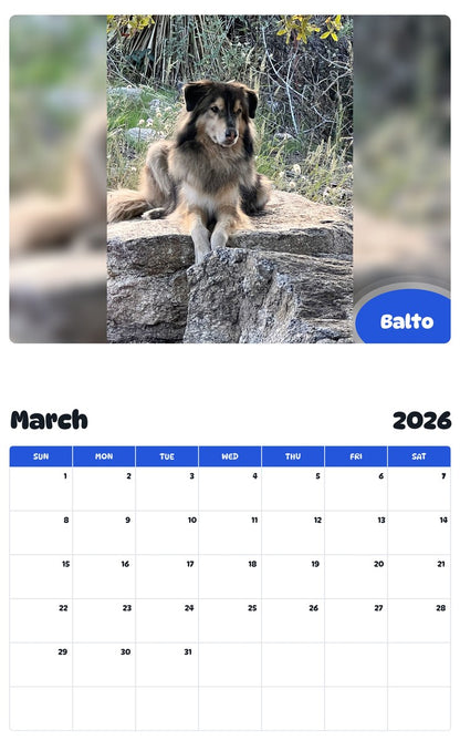 November 2025 - October 2026 Balto - Pawidols Pet Calendar