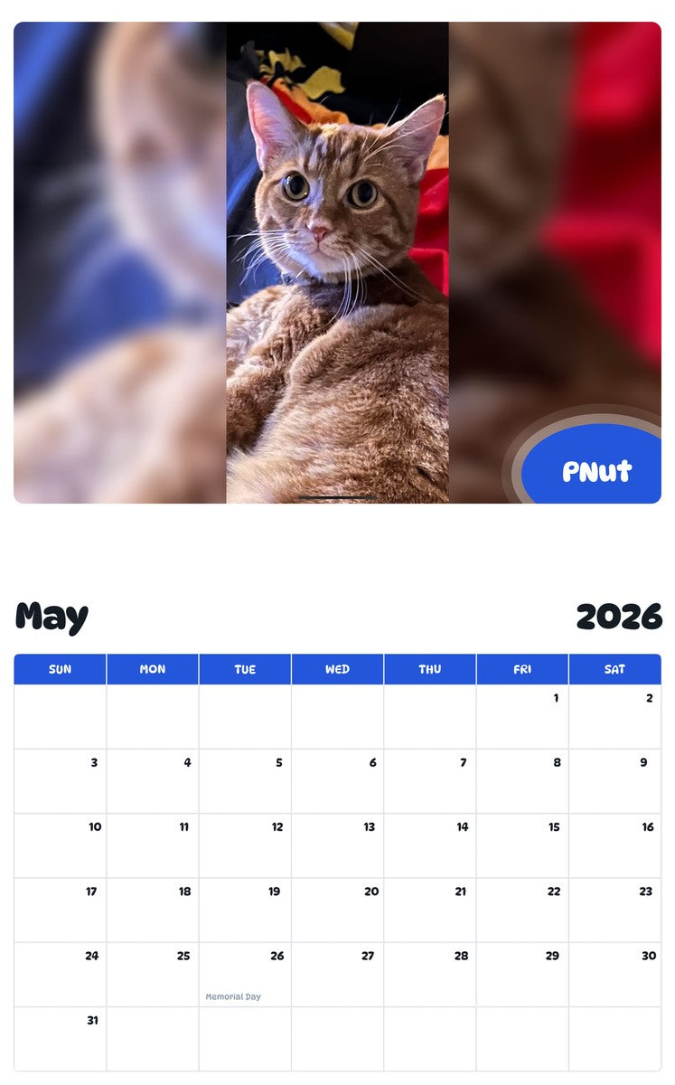2026 - 2027 PNut - Pawidols Pet Calendar