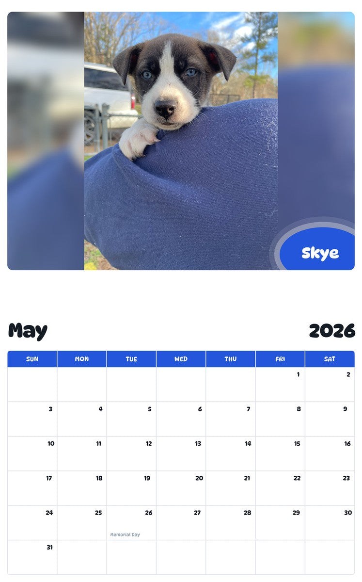 2026 - 2027 Skye - Pawidols Pet Calendar