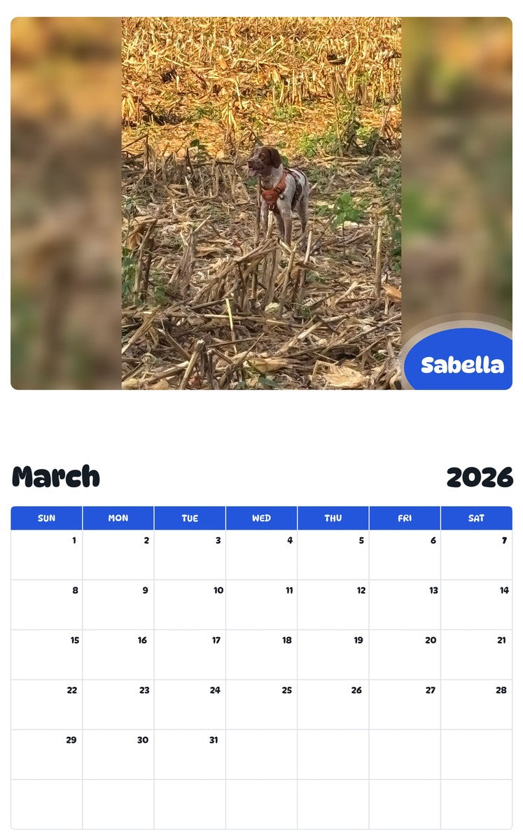 November 2025 - October 2026 Sabella - Pawidols Pet Calendar