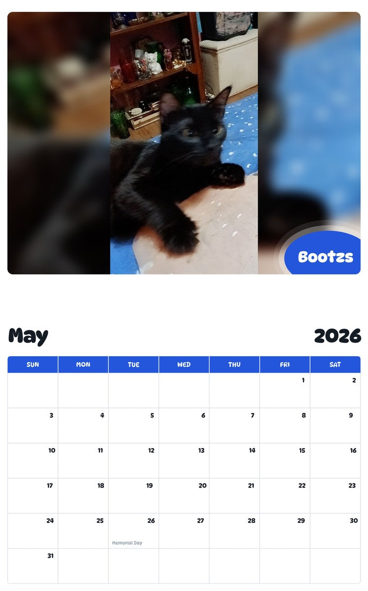 2026 - 2027 Bootzs - Pawidols Pet Calendar