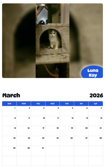 November 2025 - October 2026 Luna Kay - Pawidols Pet Calendar