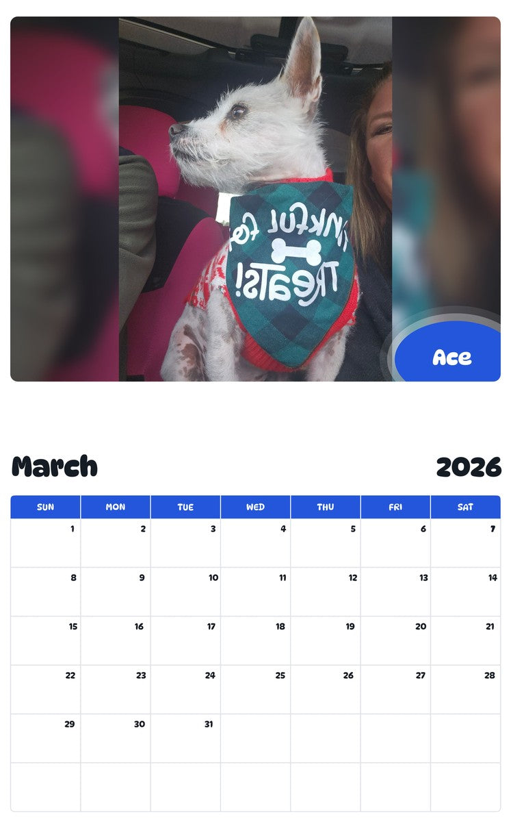 November 2025 - October 2026 Ace - Pawidols Pet Calendar