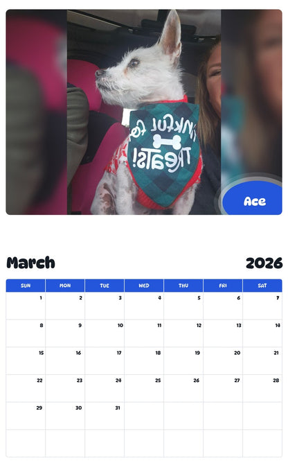 November 2025 - October 2026 Ace - Pawidols Pet Calendar