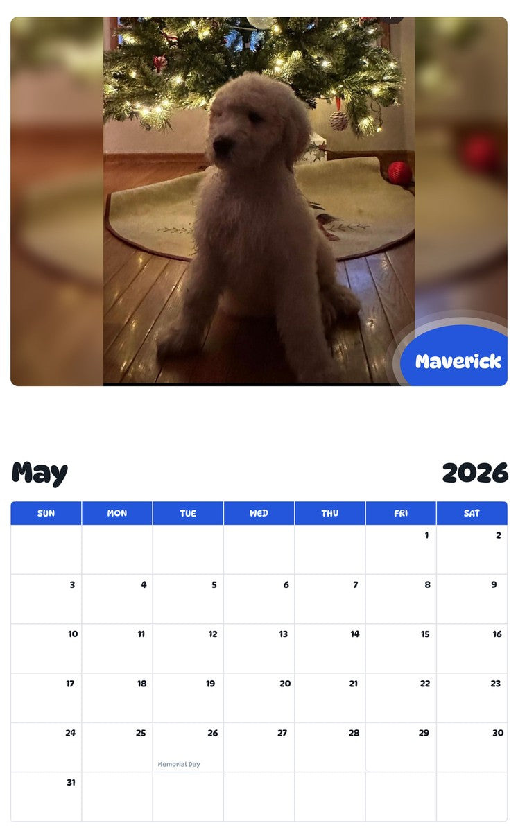 2026 - 2027 Maverick - Pawidols Pet Calendar