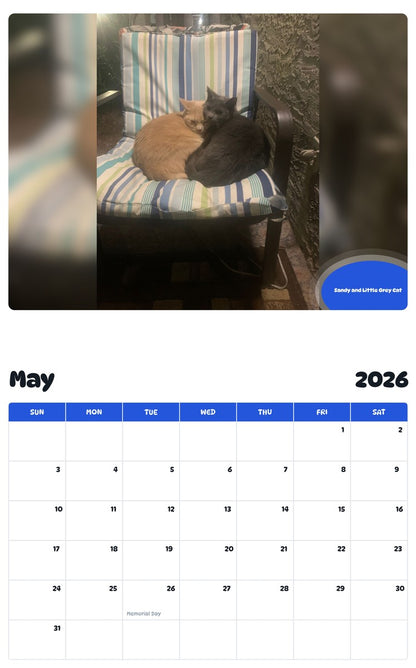 2026 - 2027 Sandy and Little Grey Cat - Pawidols Pet Calendar