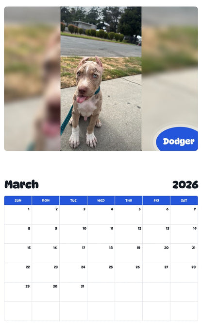 November 2025 - October 2026 Dodger - Pawidols Pet Calendar