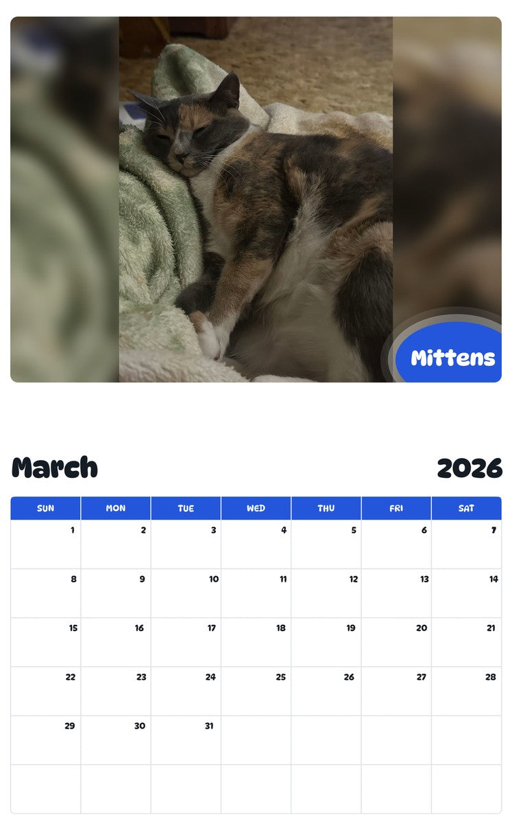 November 2025 - October 2026 Mittens - Pawidols Pet Calendar