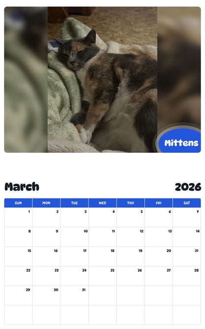 November 2025 - October 2026 Mittens - Pawidols Pet Calendar