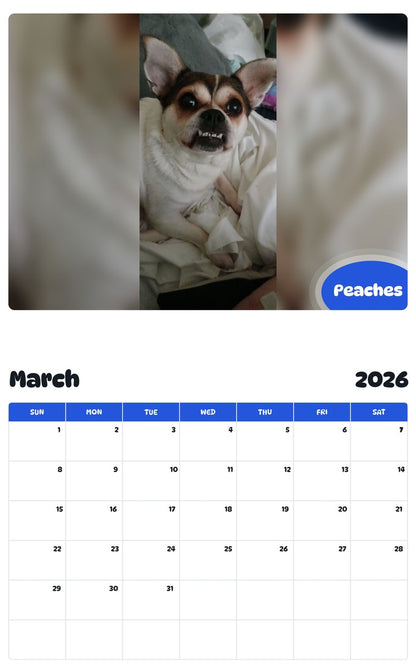 November 2025 - October 2026 Peaches - Pawidols Pet Calendar