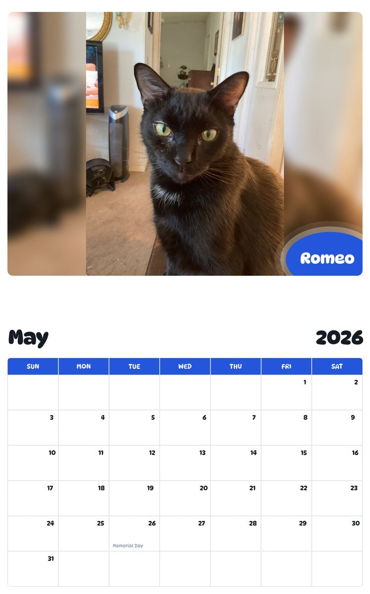 2026 - 2027 Romeo - Pawidols Pet Calendar
