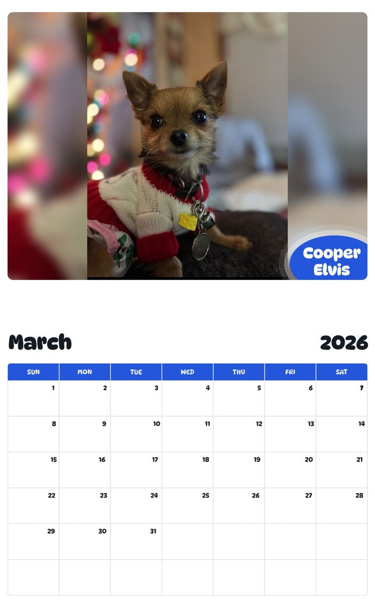 November 2025 - October 2026 Cooper Elvis - Pawidols Pet Calendar