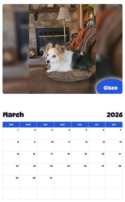 November 2025 - October 2026 Cisco - Pawidols Pet Calendar