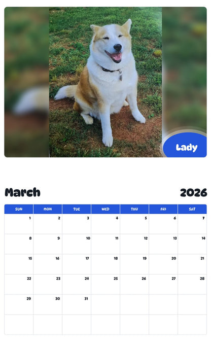 November 2025 - October 2026 Lady - Pawidols Pet Calendar