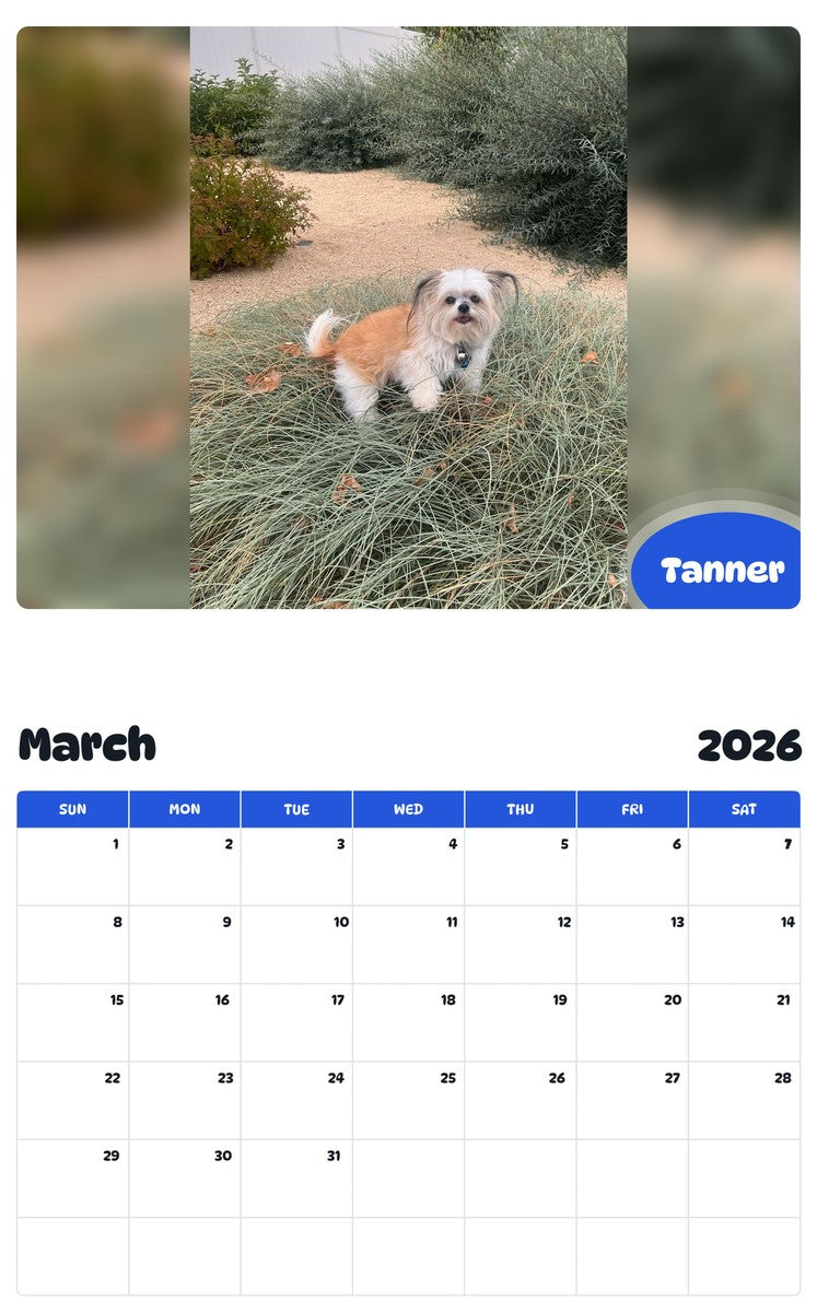 November 2025 - October 2026 Tanner - Pawidols Pet Calendar