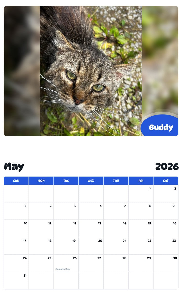 2026 - 2027 Buddy - Pawidols Pet Calendar
