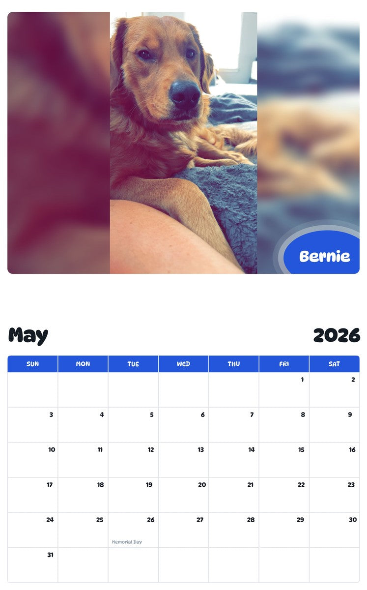 2026 - 2027 Bernie - Pawidols Pet Calendar