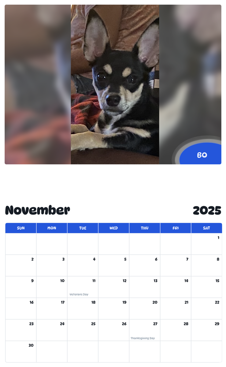 July 2025 - June 2026 Bo - Pawidols Pet Calendar