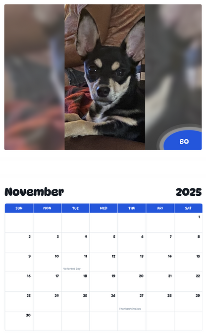 July 2025 - June 2026 Bo - Pawidols Pet Calendar