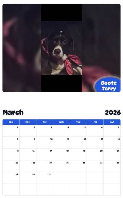 November 2025 - October 2026 Bootz Terry - Pawidols Pet Calendar