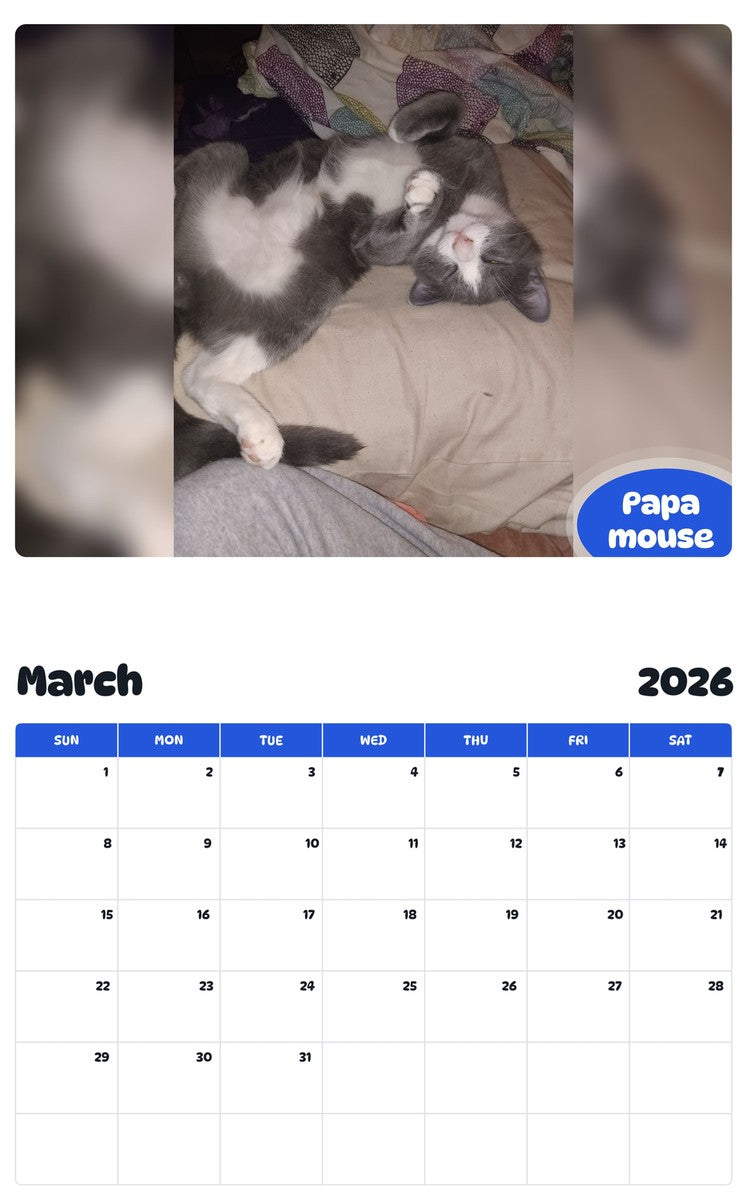 November 2025 - October 2026 Papa mouse - Pawidols Pet Calendar