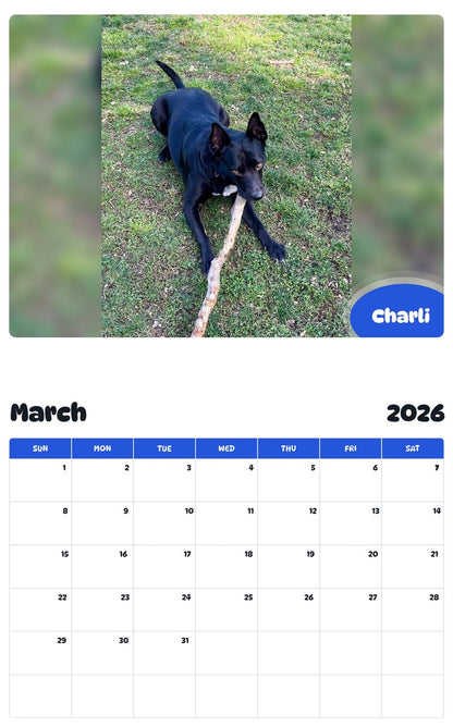 November 2025 - October 2026 Charli - Pawidols Pet Calendar