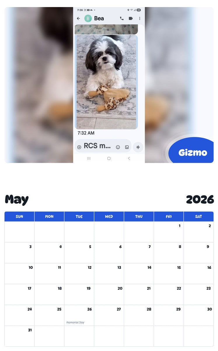 2026 - 2027 Gizmo - Pawidols Pet Calendar