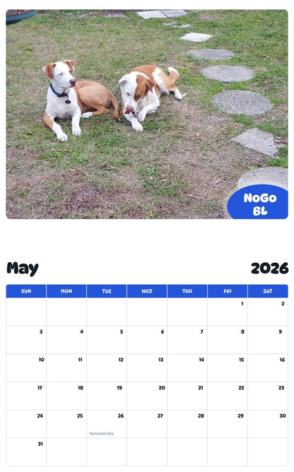 2026 - 2027 NoGo BL - Pawidols Pet Calendar