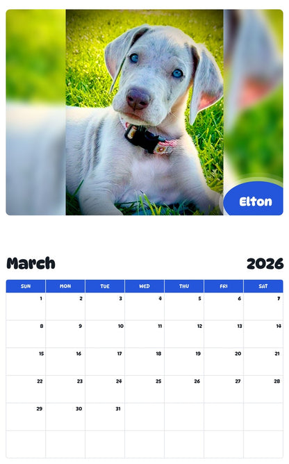 November 2025 - October 2026 Elton - Pawidols Pet Calendar
