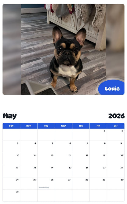 2026 - 2027 Louie - Pawidols Pet Calendar