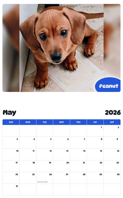 2026 - 2027 Peanut - Pawidols Pet Calendar