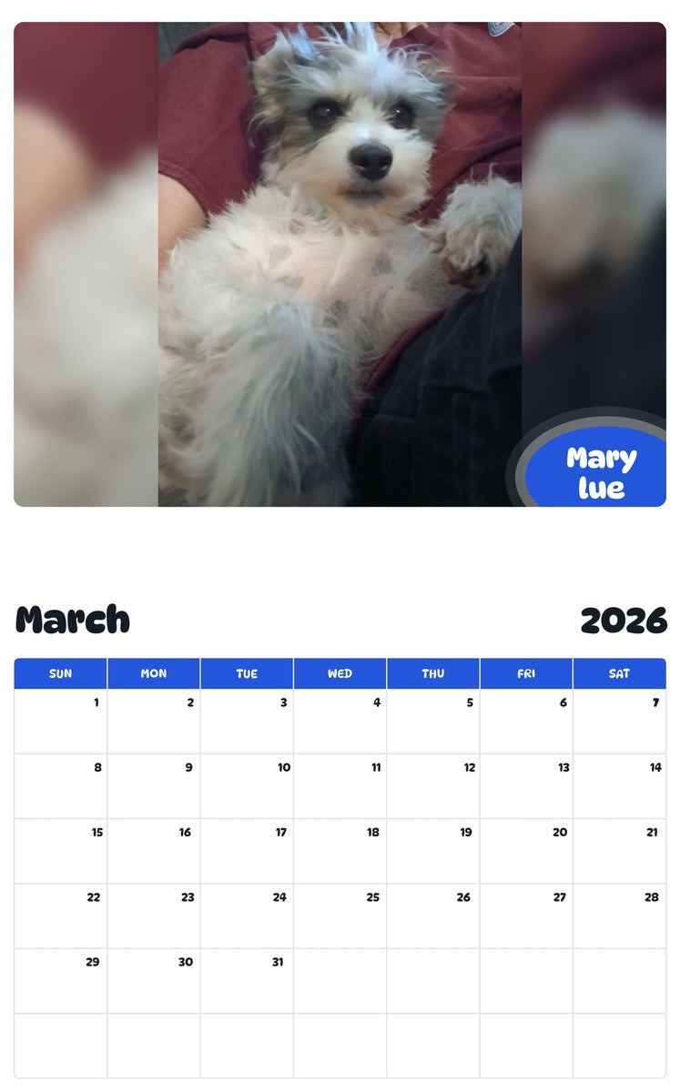 November 2025 - October 2026 Mary lue - Pawidols Pet Calendar