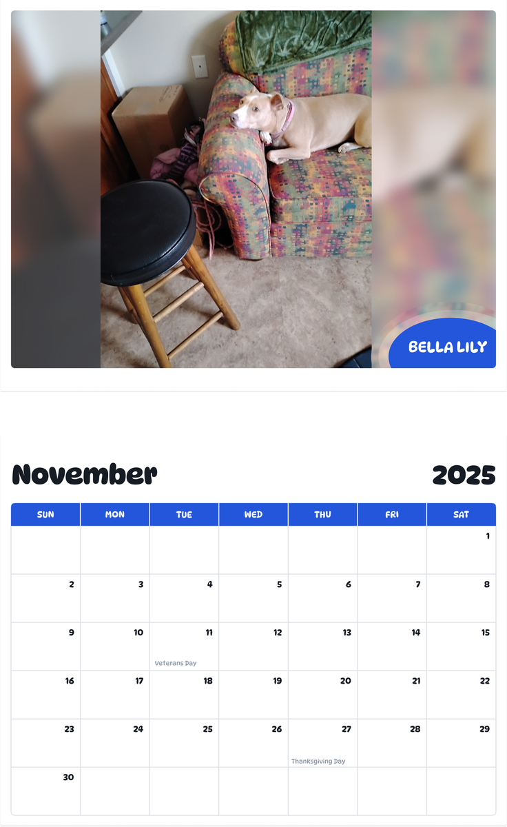 July 2025 - June 2026 Bella Lily - Pawidols Pet Calendar