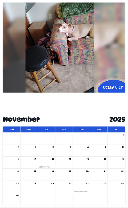 July 2025 - June 2026 Bella Lily - Pawidols Pet Calendar
