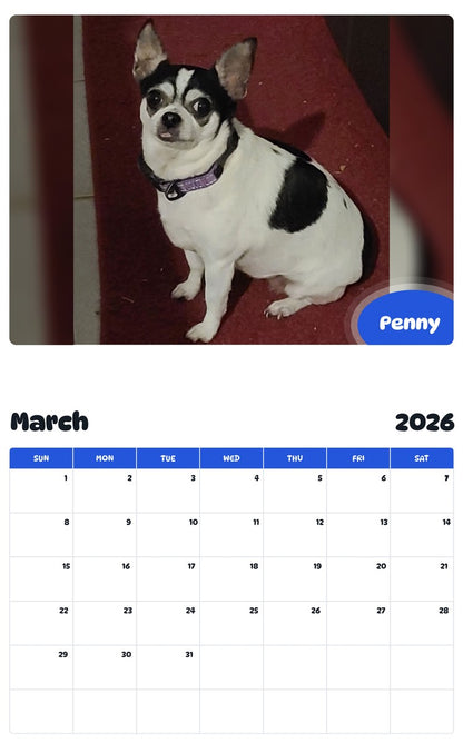 November 2025 - October 2026 Penny - Pawidols Pet Calendar