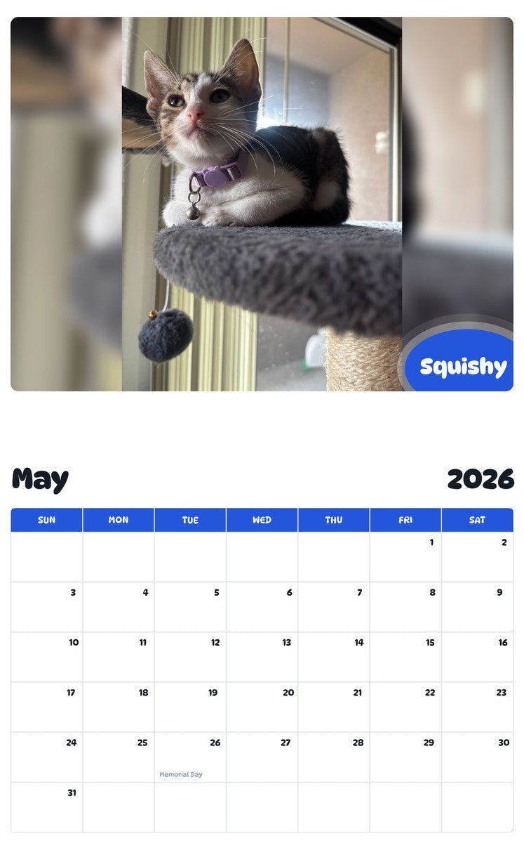 2026 - 2027 Squishy - Pawidols Pet Calendar