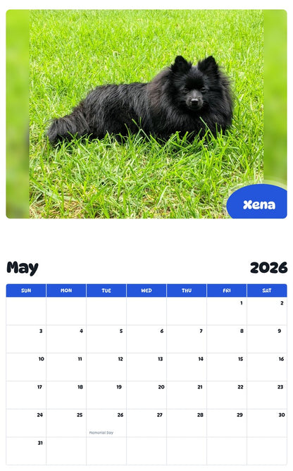 2026 - 2027 Xena - Pawidols Pet Calendar