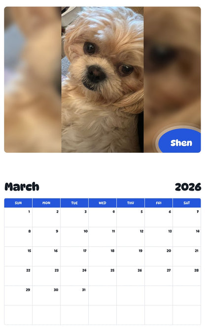 November 2025 - October 2026 Shen - Pawidols Pet Calendar