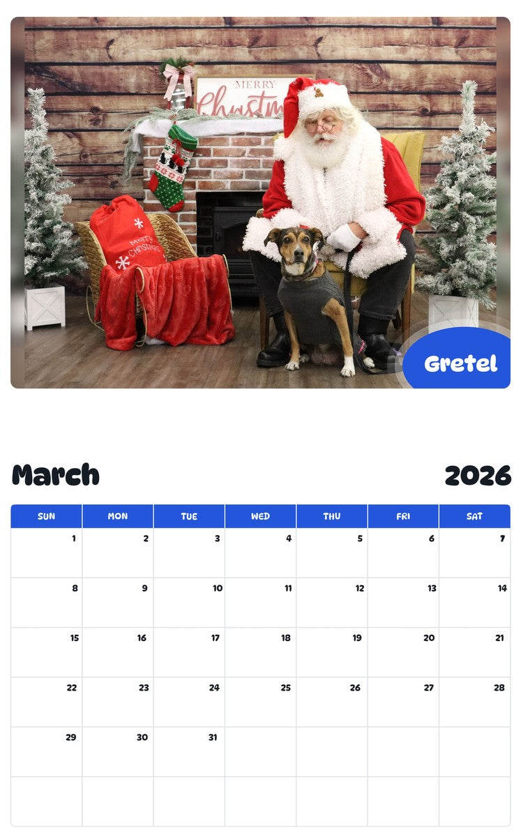 November 2025 - October 2026 Gretel - Pawidols Pet Calendar