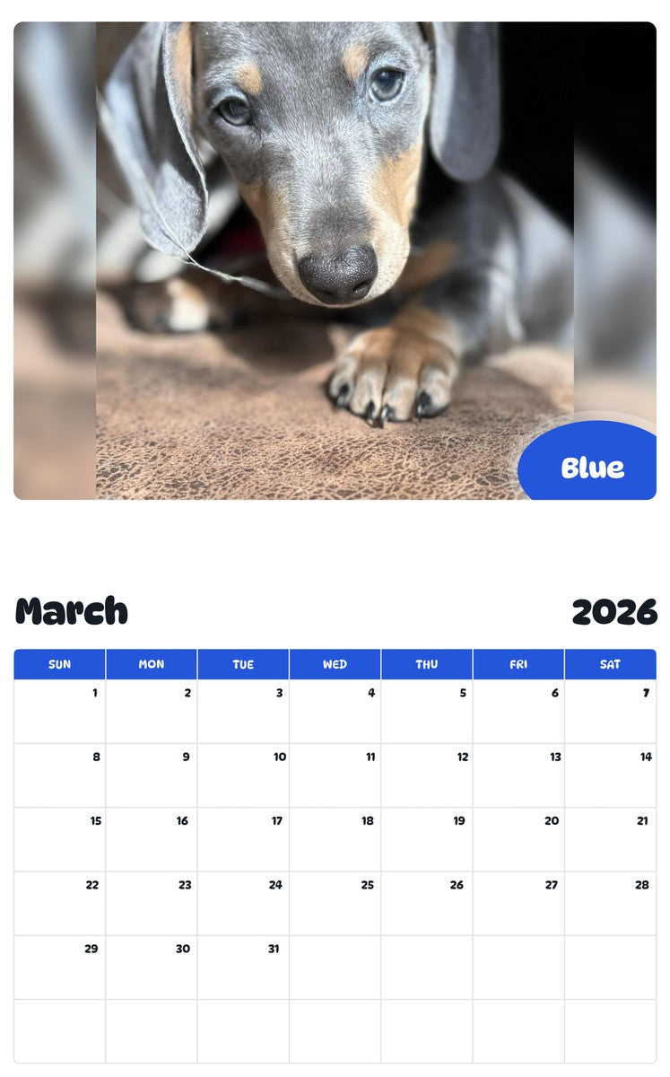 November 2025 - October 2026 Blue - Pawidols Pet Calendar