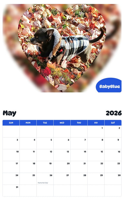 2026 - 2027 BabyBlue - Pawidols Pet Calendar
