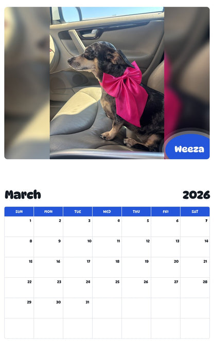 November 2025 - October 2026 Weeza - Pawidols Pet Calendar